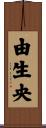 由生央 Scroll