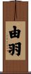 由羽 Scroll