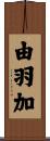 由羽加 Scroll