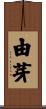 由芽 Scroll