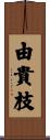 由貴枝 Scroll