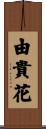由貴花 Scroll