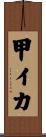 甲イカ Scroll