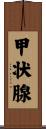 甲状腺 Scroll