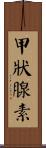 甲狀腺素 Scroll