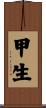 甲生 Scroll