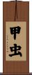 甲虫 Scroll