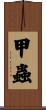 甲蟲 Scroll
