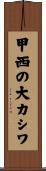 甲西の大カシワ Scroll