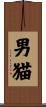 男猫 Scroll