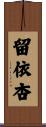 留依杏 Scroll