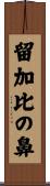 留加比の鼻 Scroll