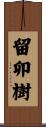 留卯樹 Scroll