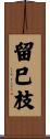 留巳枝 Scroll