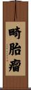 畸胎瘤 Scroll