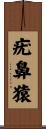 疣鼻猿 Scroll