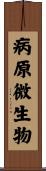 病原微生物 Scroll