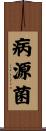 病源菌 Scroll