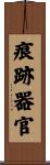 痕跡器官 Scroll
