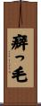 癖っ毛 Scroll