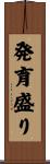 発育盛り Scroll