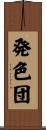 発色団 Scroll