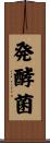 発酵菌 Scroll