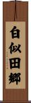 白似田郷 Scroll