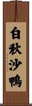 白秋沙鴨 Scroll