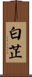 白芷 Scroll