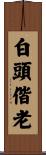 The White Hairs of Old Age Scroll