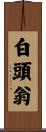 白頭翁 Scroll