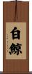 白鯨 Scroll