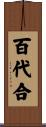 百代合 Scroll