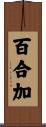百合加 Scroll