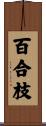 百合枝 Scroll