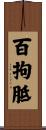 百拘胝 Scroll