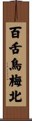 百舌鳥梅北 Scroll