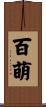 百萌 Scroll