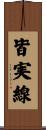 皆実線 Scroll