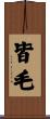 皆毛 Scroll