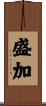 盛加 Scroll