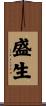 盛生 Scroll