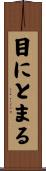 目にとまる Scroll
