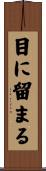 目に留まる Scroll