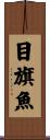 目旗魚 Scroll