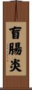 盲腸炎 Scroll