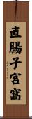 直腸子宮窩 Scroll