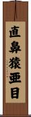 直鼻猿亜目 Scroll