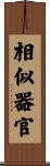 相似器官 Scroll